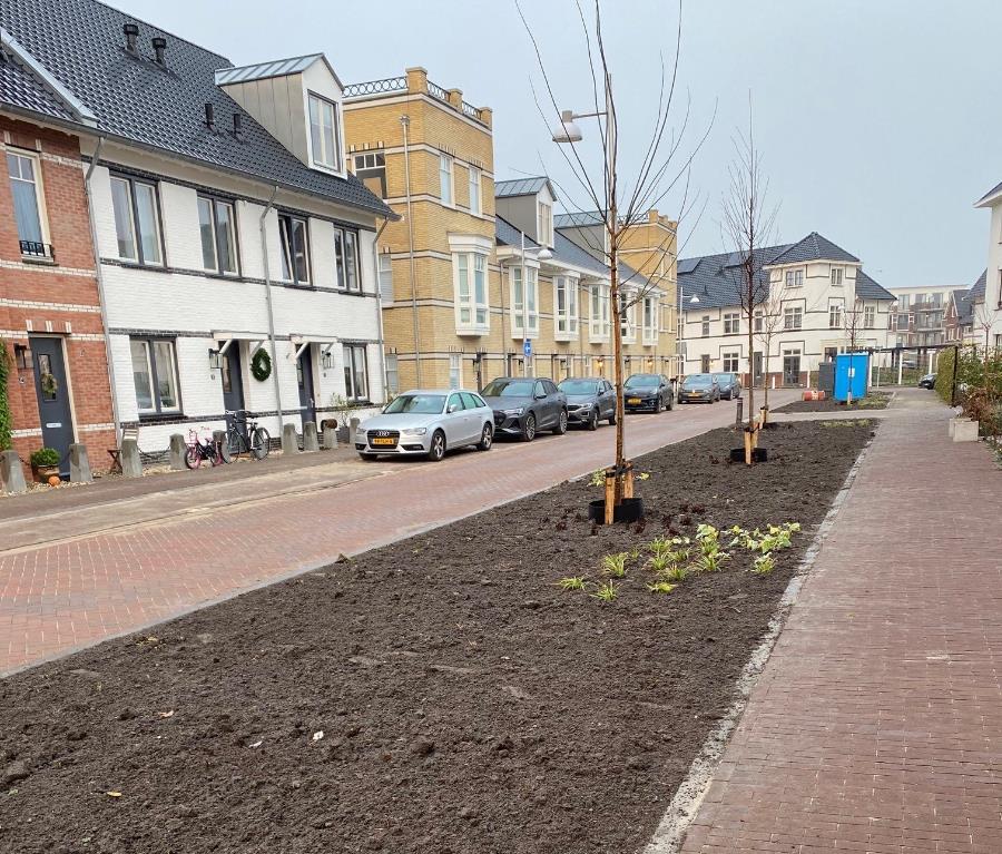 Bericht Groen Fort Aalsmeerstraat ingeplant: Laat het groeien bekijken